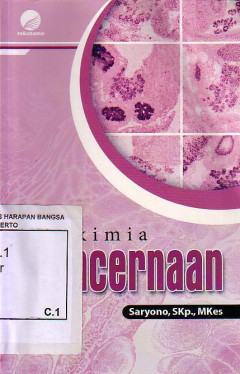 Biokimia Pencernaan