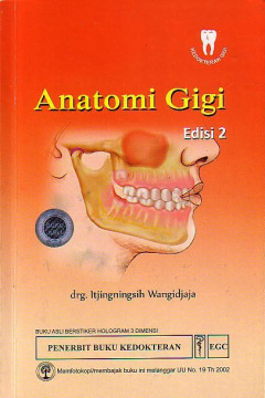 Anatomi Gigi