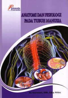 Anatomi Dan Fisiologi Pada Tubuh Manusia