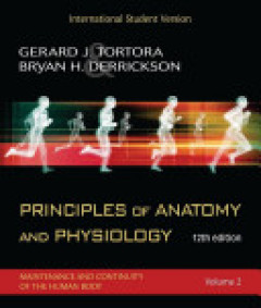 Principles Of Anatomy And Physiology: Maintenance And Continuity Of The Human Body. Volume 2