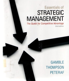Essentials Of Strategic Management: The Quest For Competitive Advantage