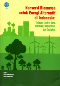 Konversi Biomasa Untuk Energi Alternatif Di Indonesia: Tinjauan Sumber Daya, Teknologi, Manajemen, Dan Kebijakan