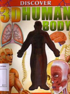 Discover 3D Human Body